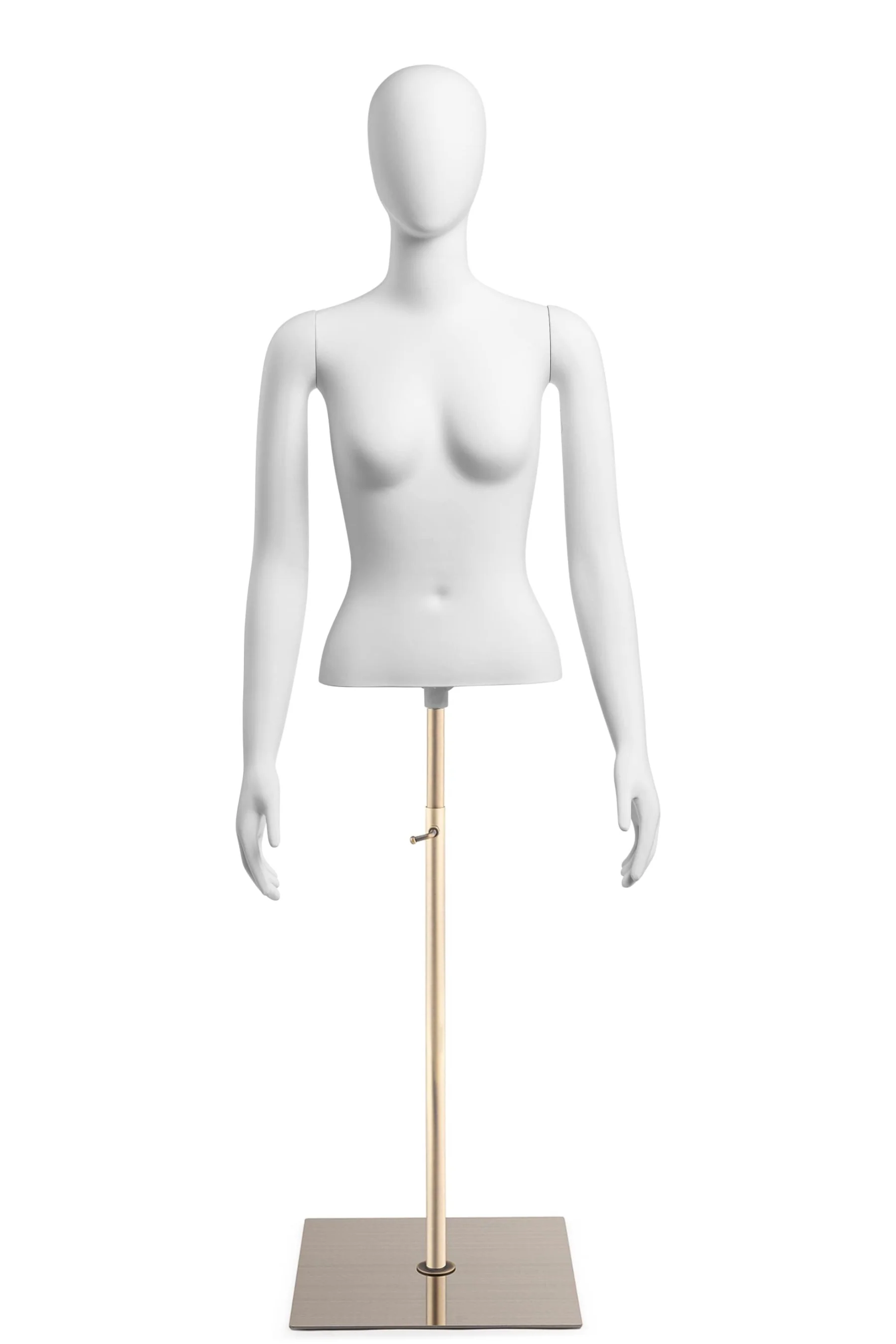 Female Egghead Torso Mannequin with Removable Arms - Image 202
