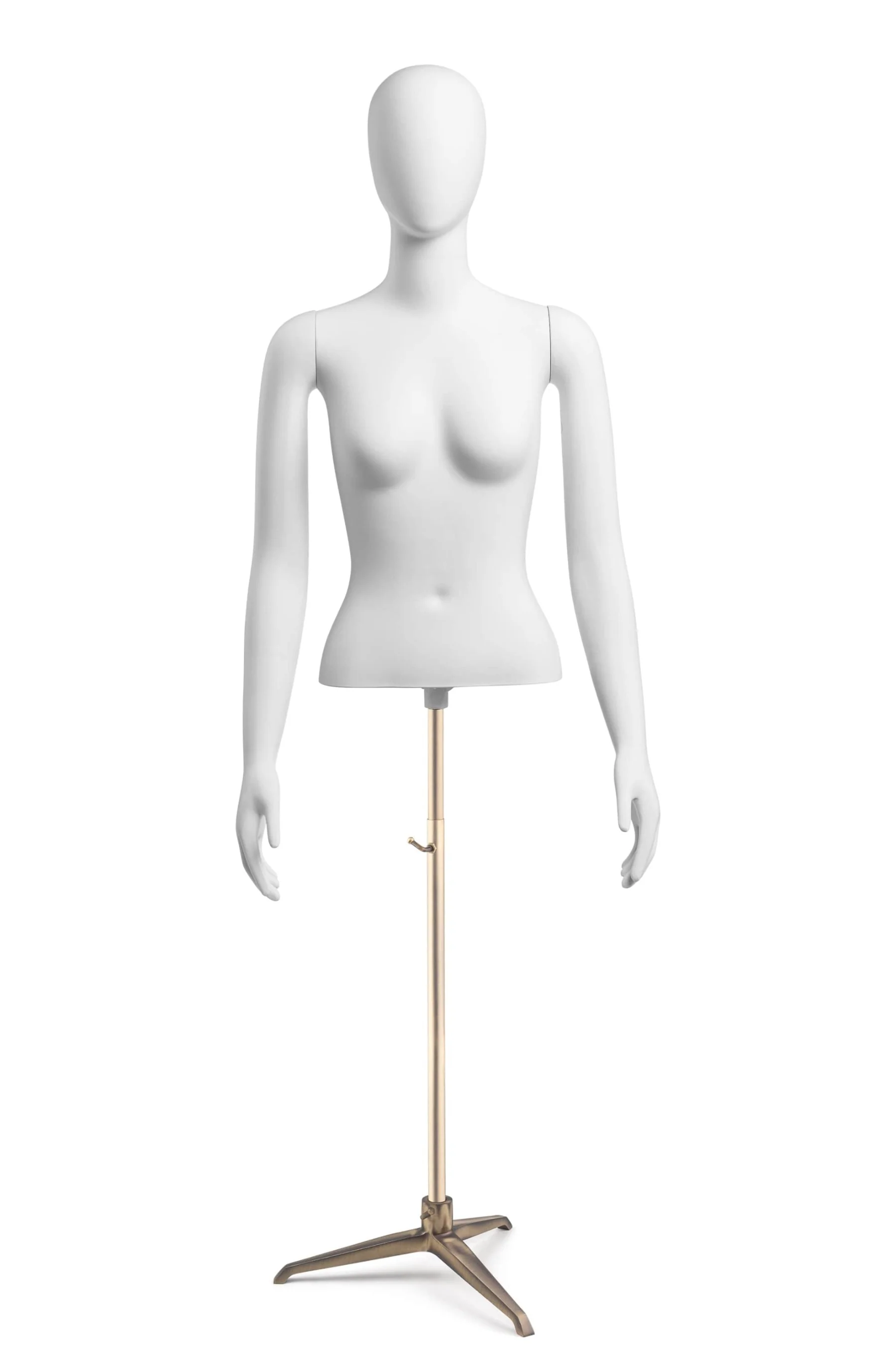 Female Egghead Torso Mannequin with Removable Arms - Image 226