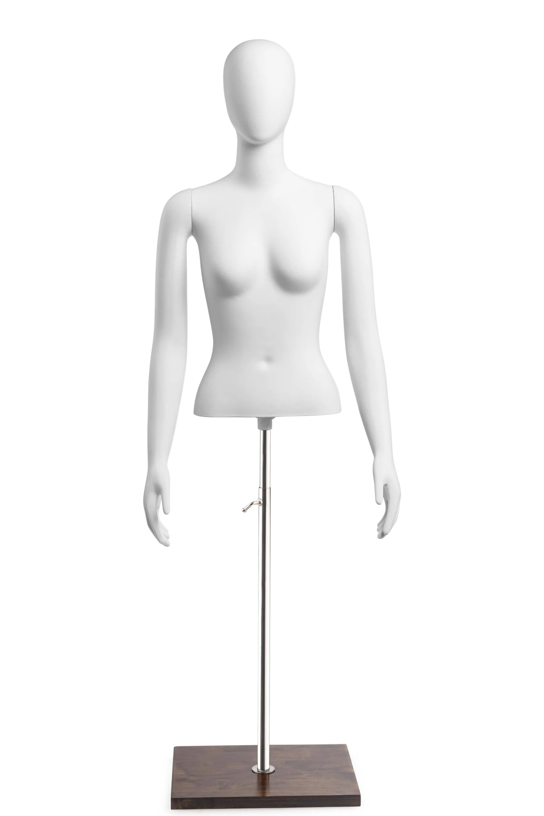 Female Egghead Torso Mannequin with Removable Arms - Image 238