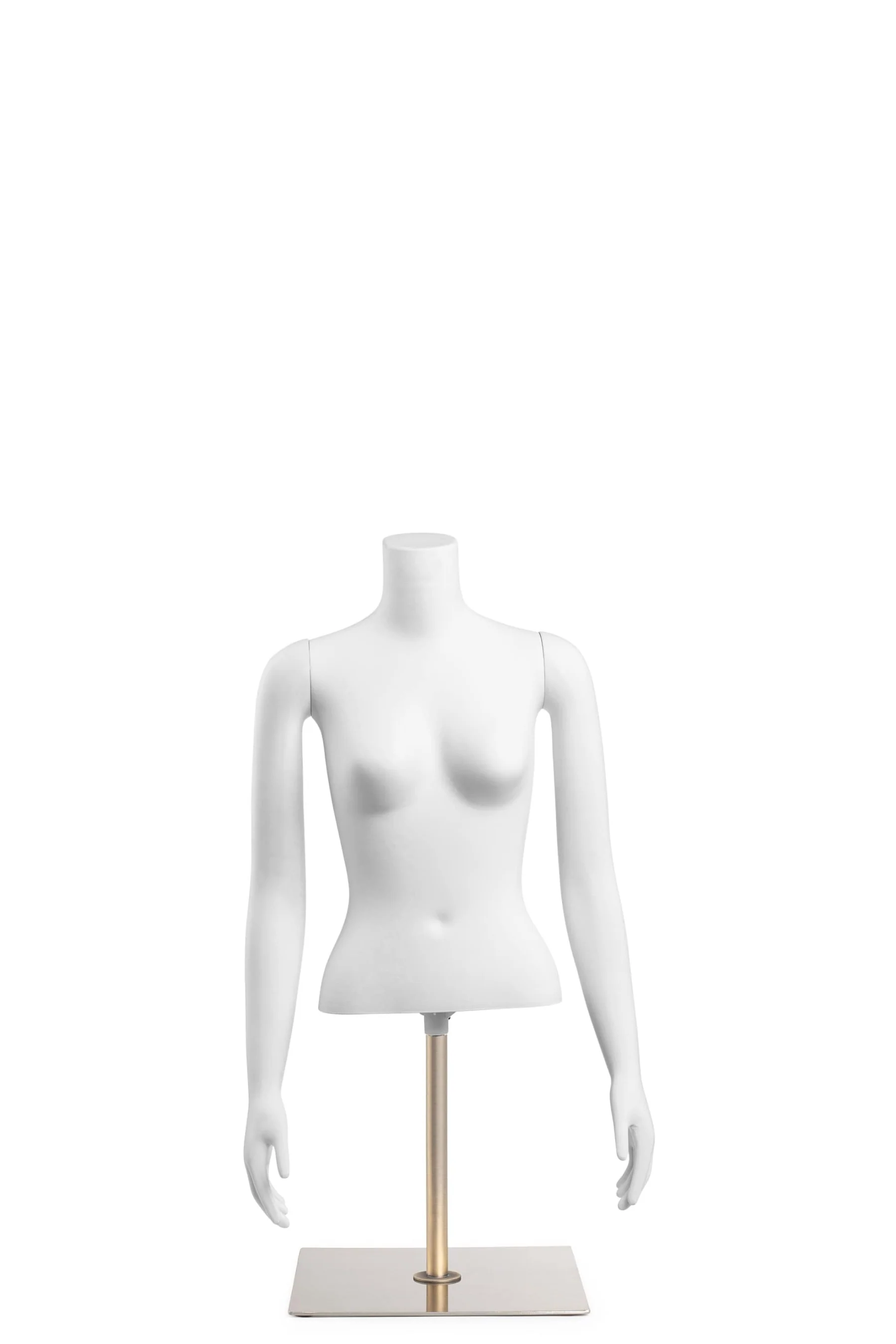 Female Headless Torso Mannequin with Removable Arms - Image 242