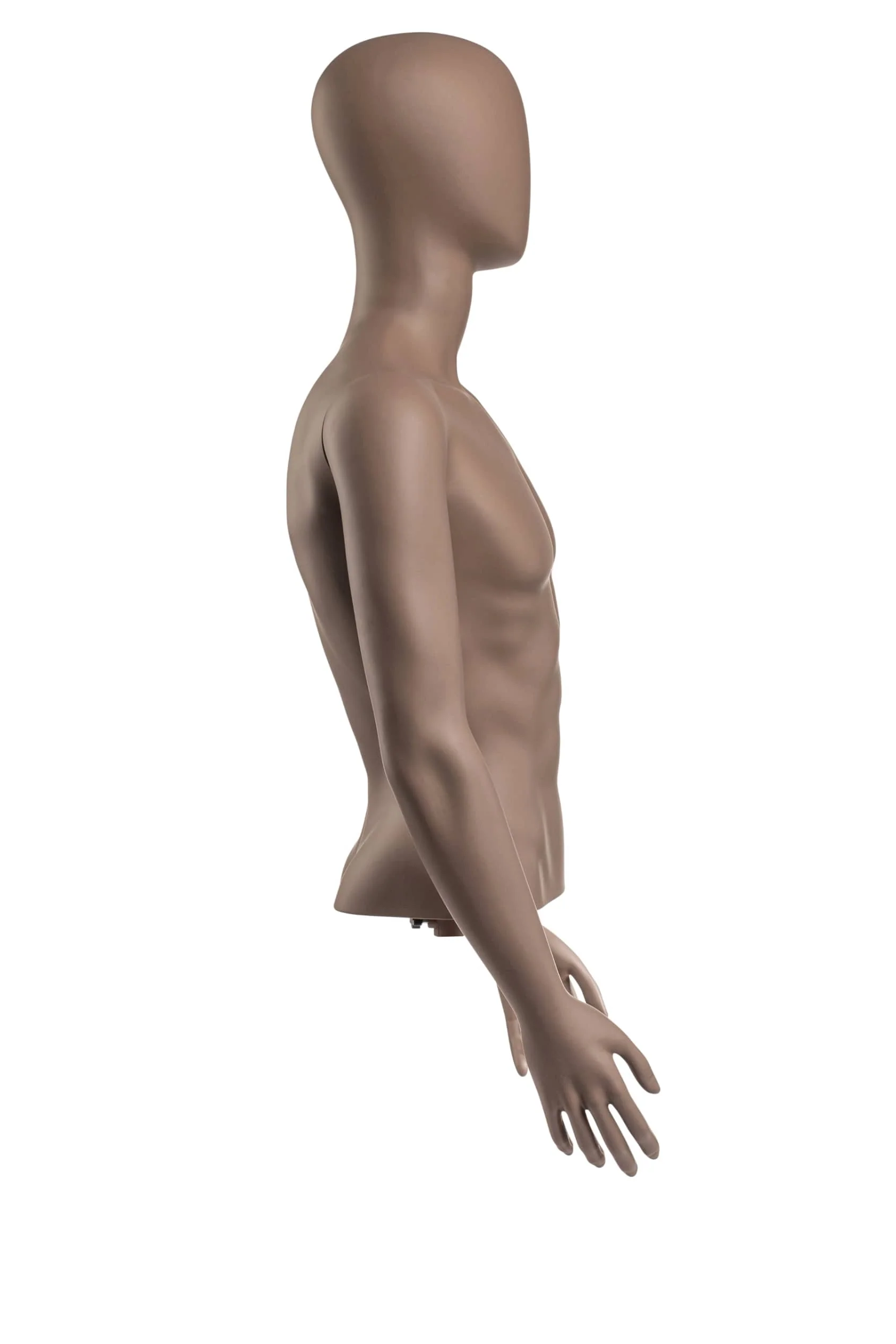 Male Egghead Torso Mannequin with Removable Arms - Image 113