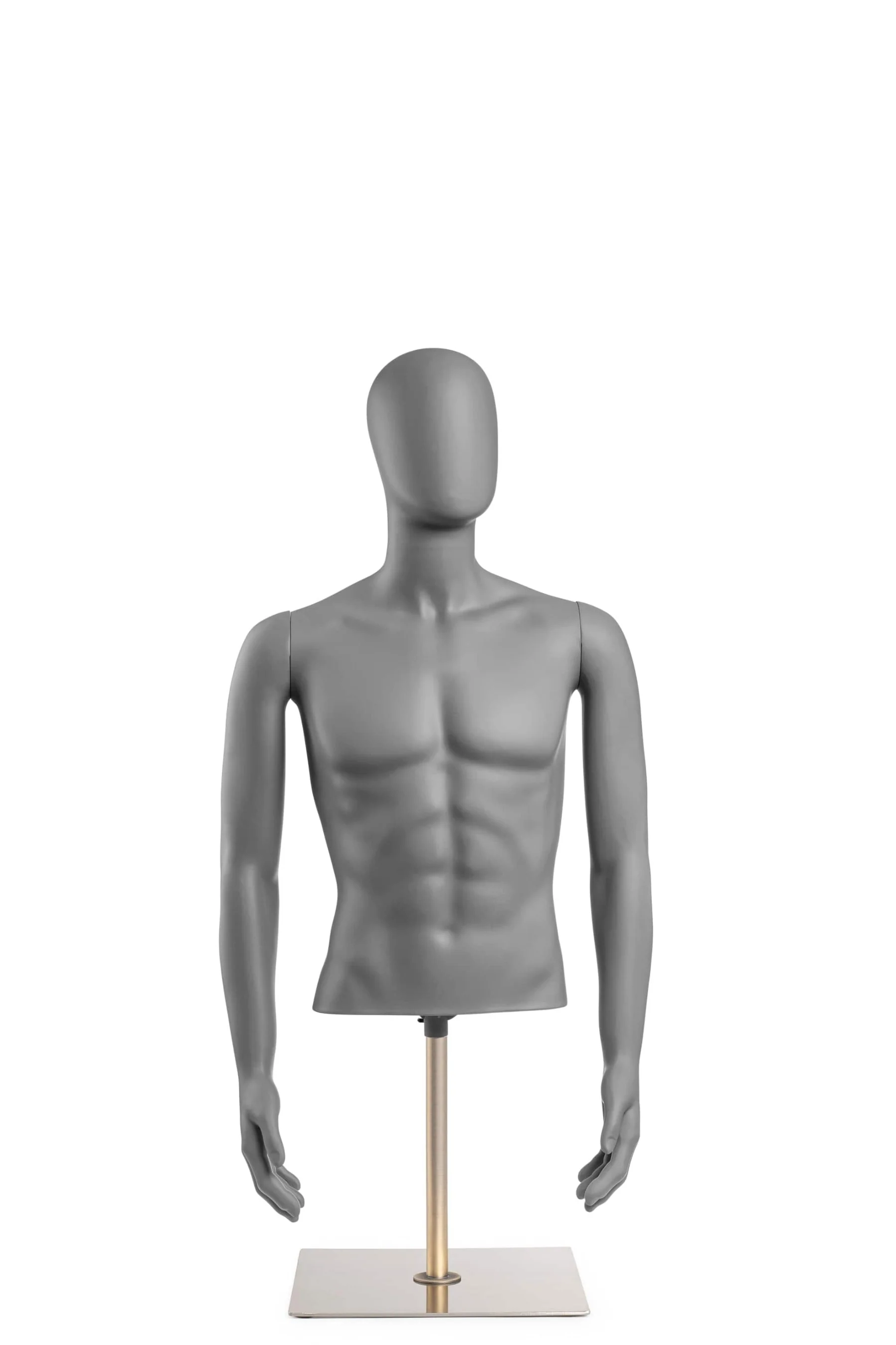 Male Egghead Torso Mannequin with Removable Arms - Image 152