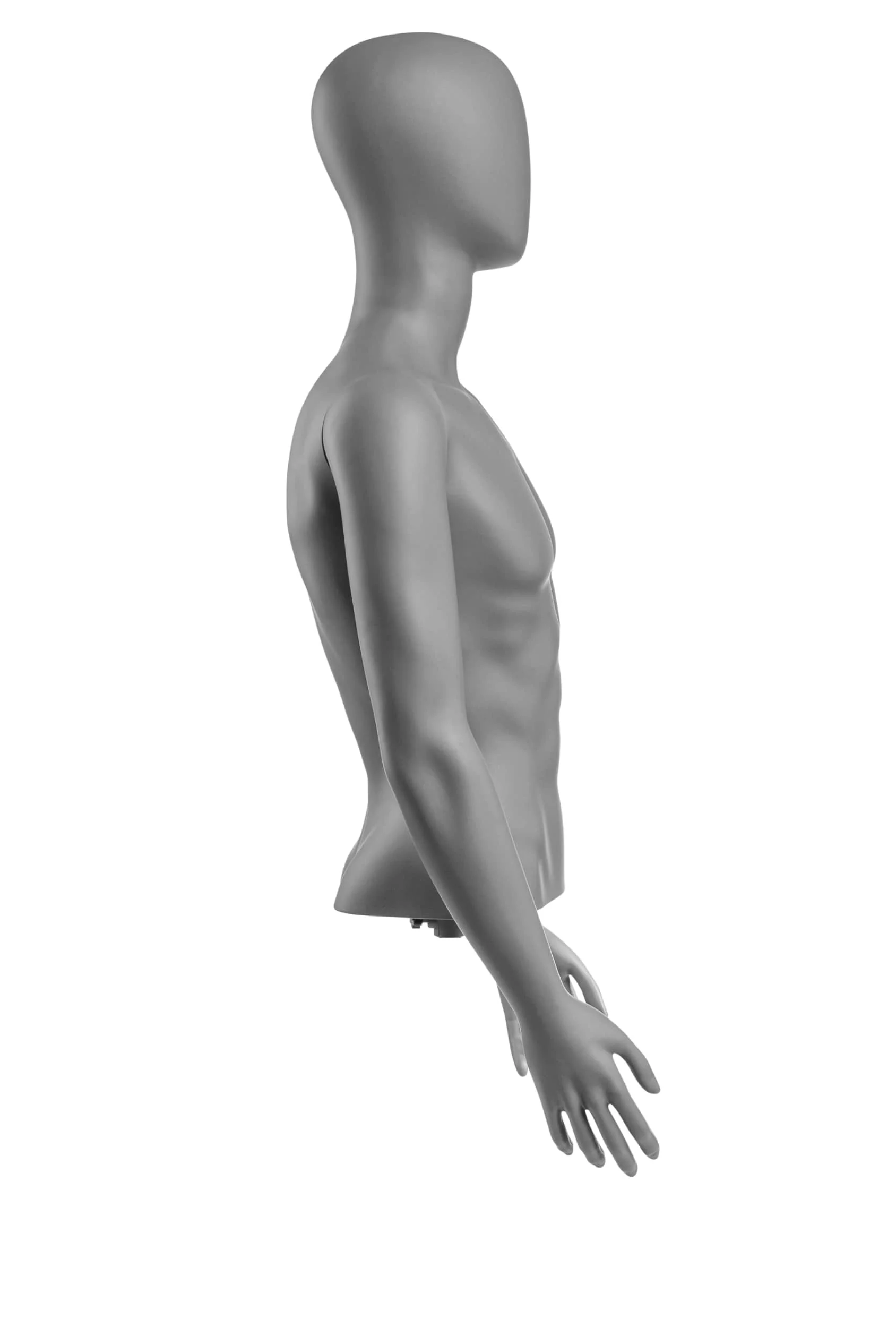 Male Egghead Torso Mannequin with Removable Arms - Image 162