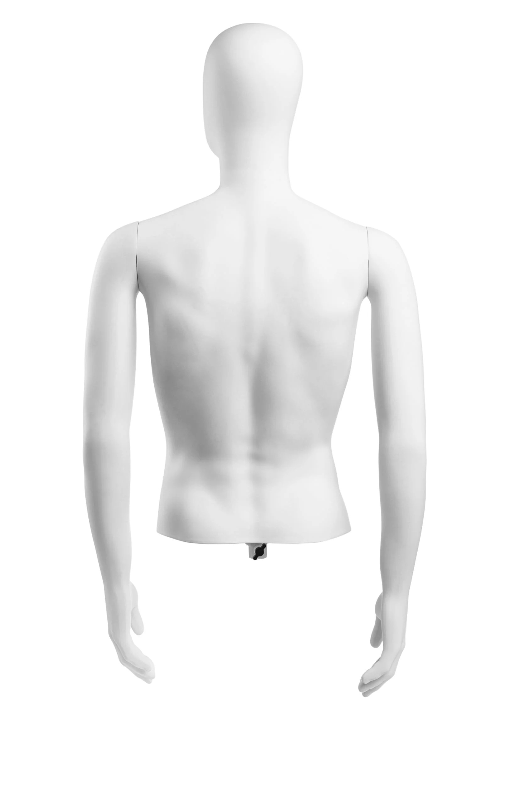 Male Egghead Torso Mannequin with Removable Arms - Image 187