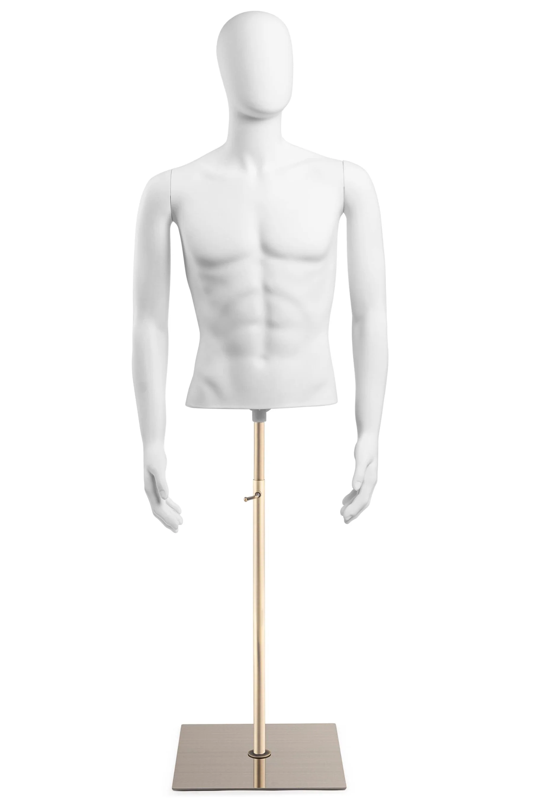 Male Egghead Torso Mannequin with Removable Arms - Image 200