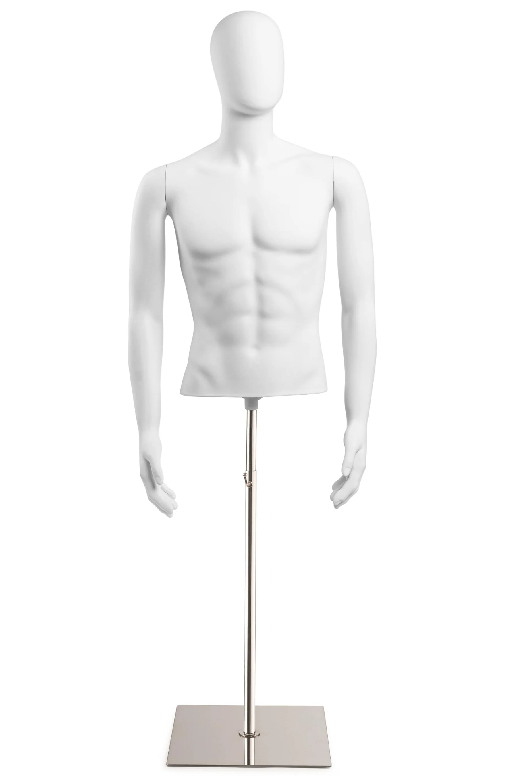 Male Egghead Torso Mannequin with Removable Arms - Image 204