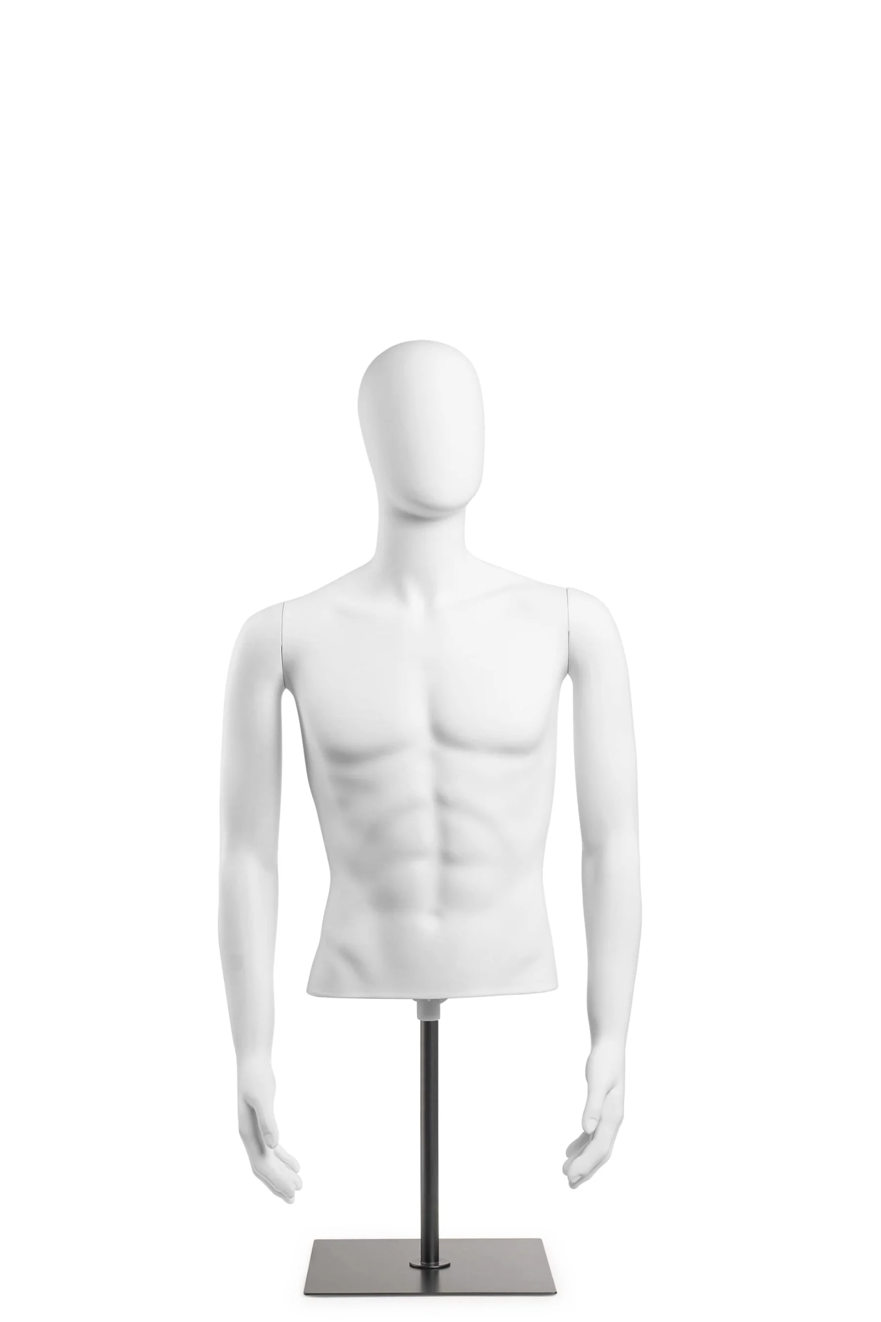 Male Egghead Torso Mannequin with Removable Arms - Image 208