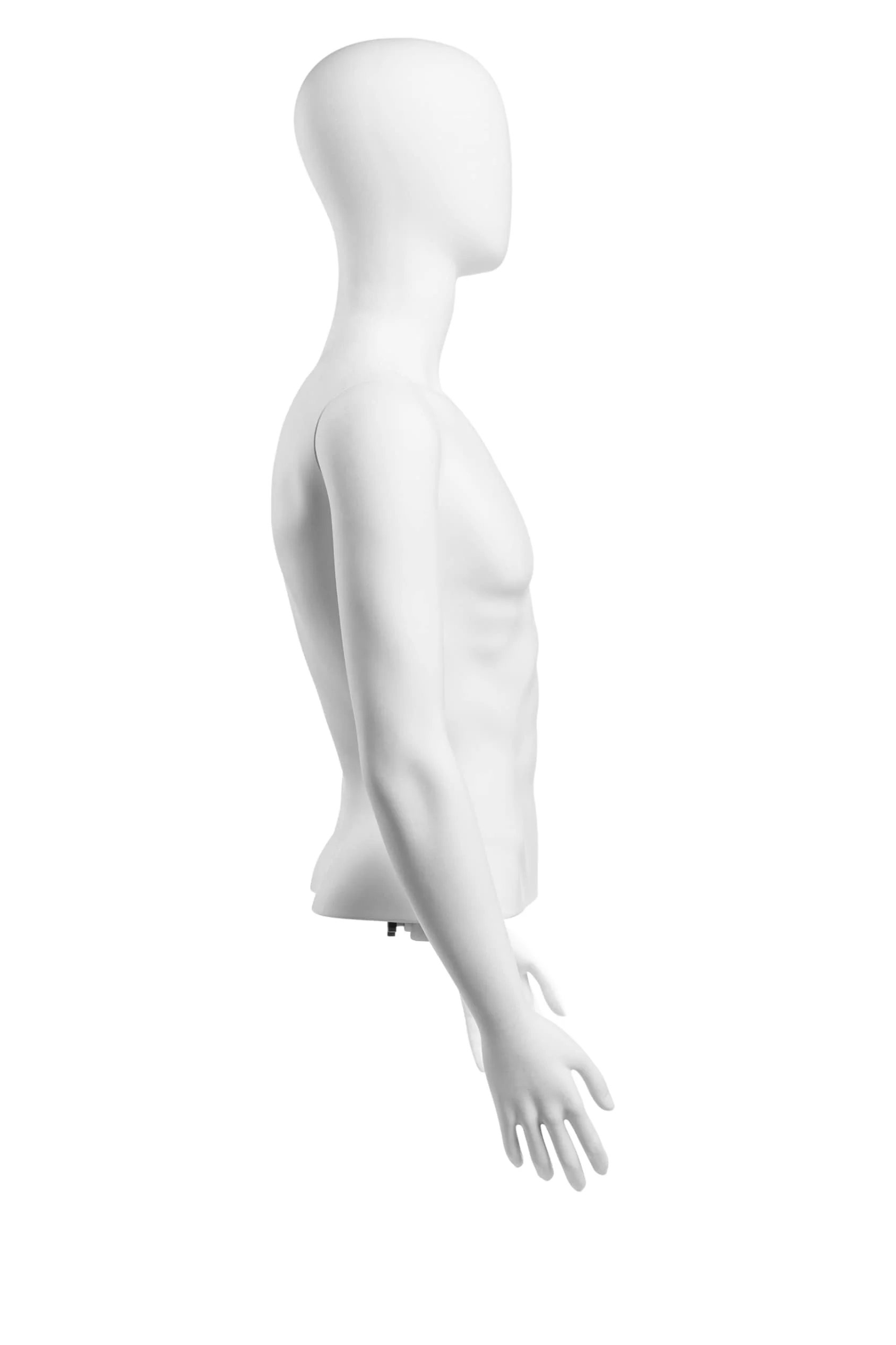Male Egghead Torso Mannequin with Removable Arms - Image 210