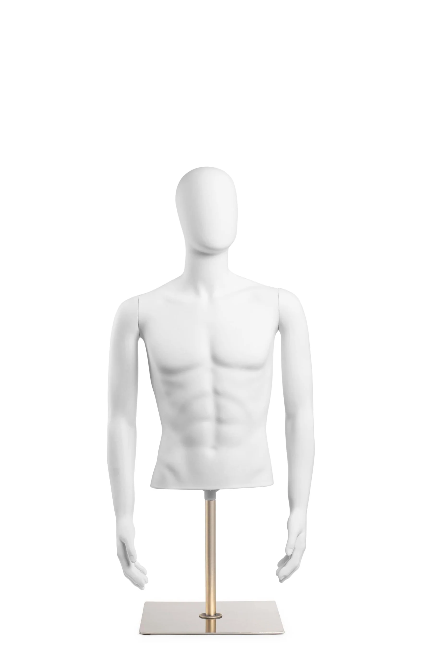 Male Egghead Torso Mannequin with Removable Arms - Image 212