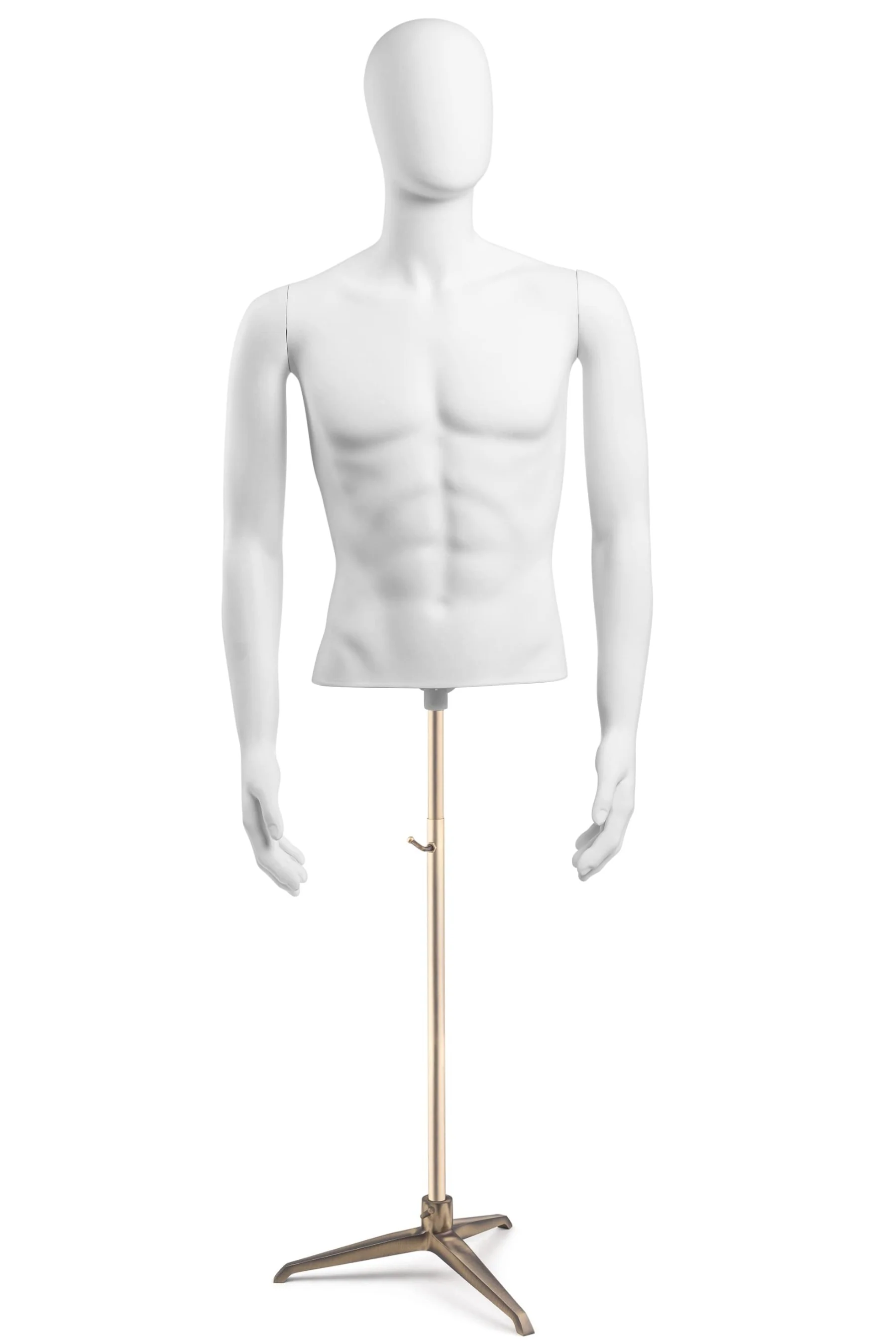 Male Egghead Torso Mannequin with Removable Arms - Image 224