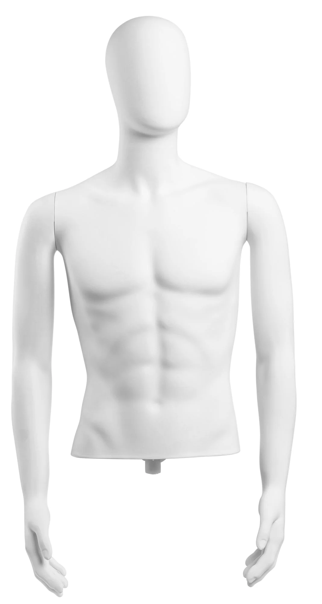 Male Egghead Torso Mannequin with Removable Arms - Image 229