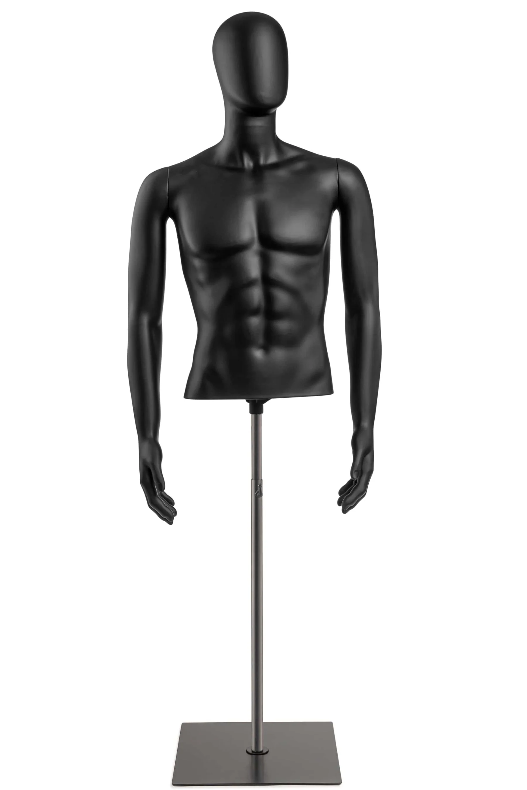 Male Egghead Torso Mannequin with Removable Arms - Image 3