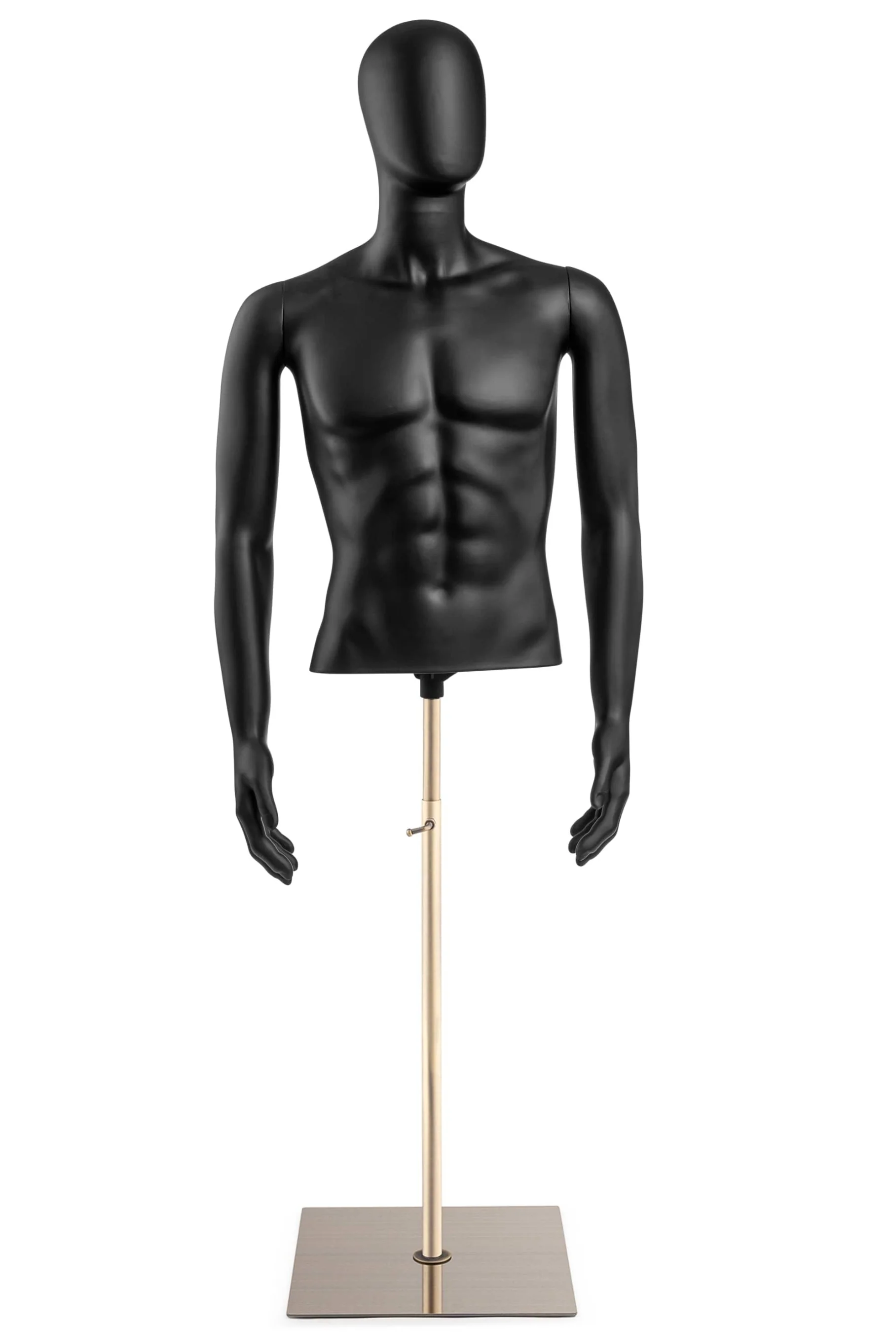 Male Egghead Torso Mannequin with Removable Arms - Image 6