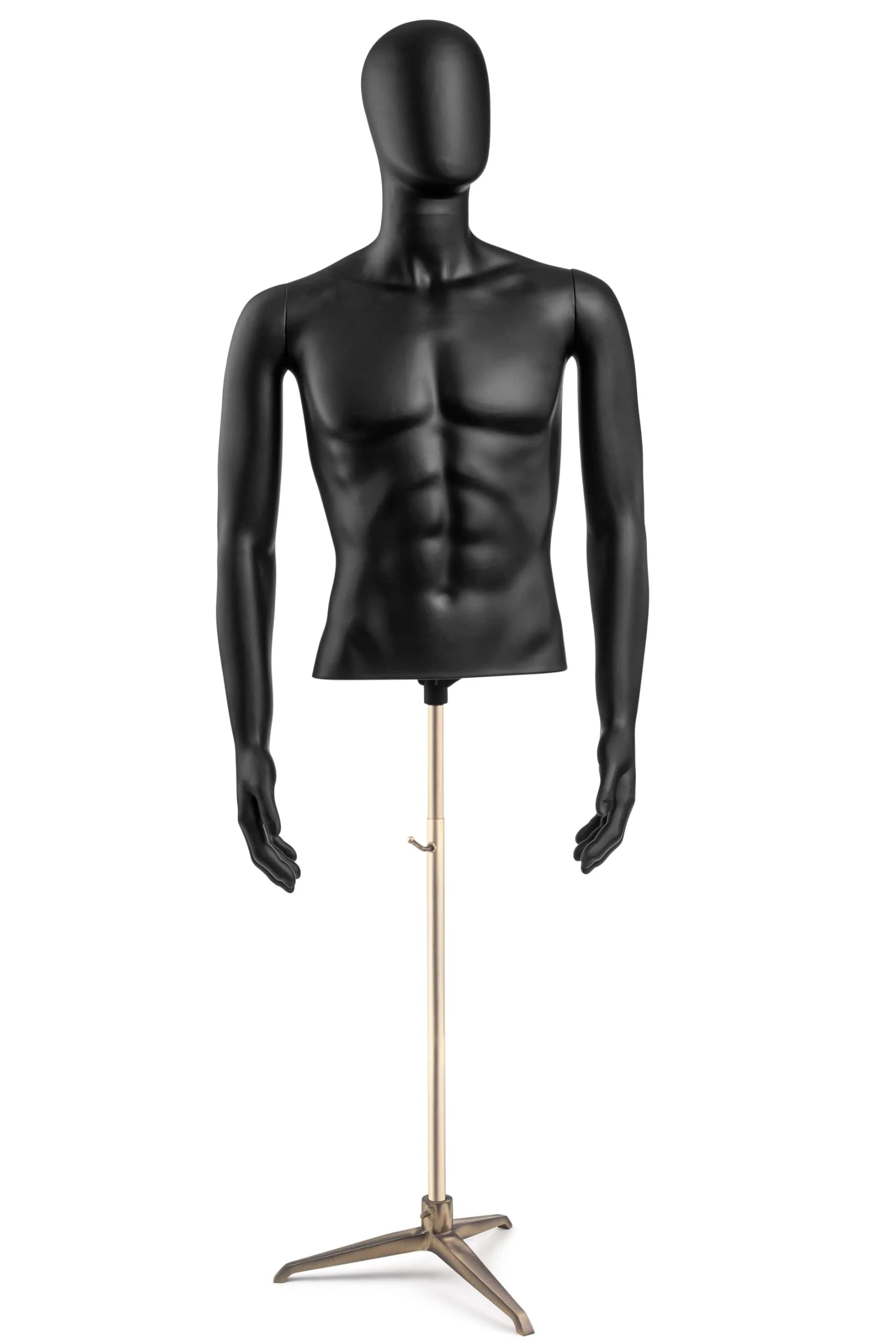 Male Egghead Torso Mannequin with Removable Arms - Image 7