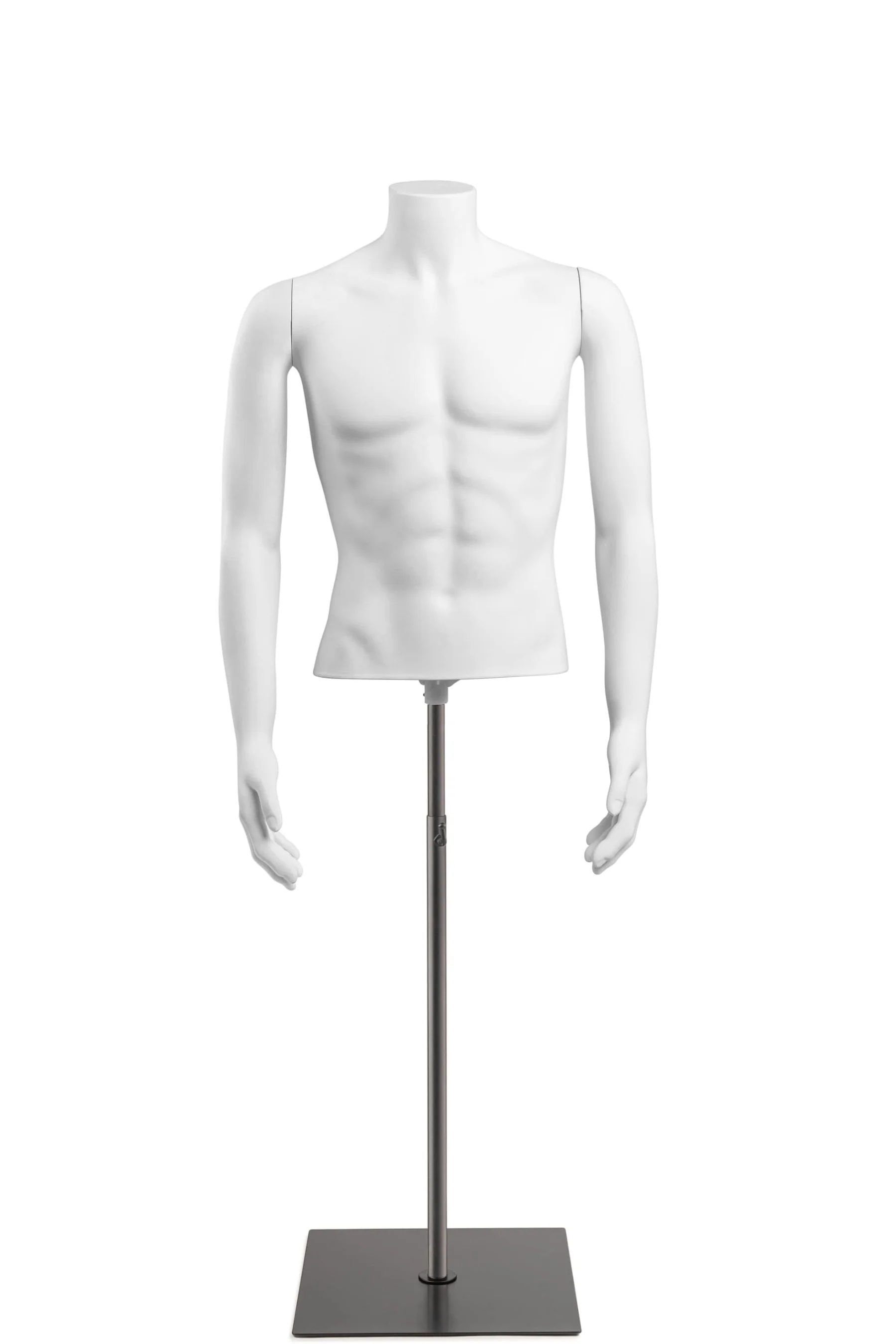 Male Headless Torso Mannequin with Removable Arms - Image 199