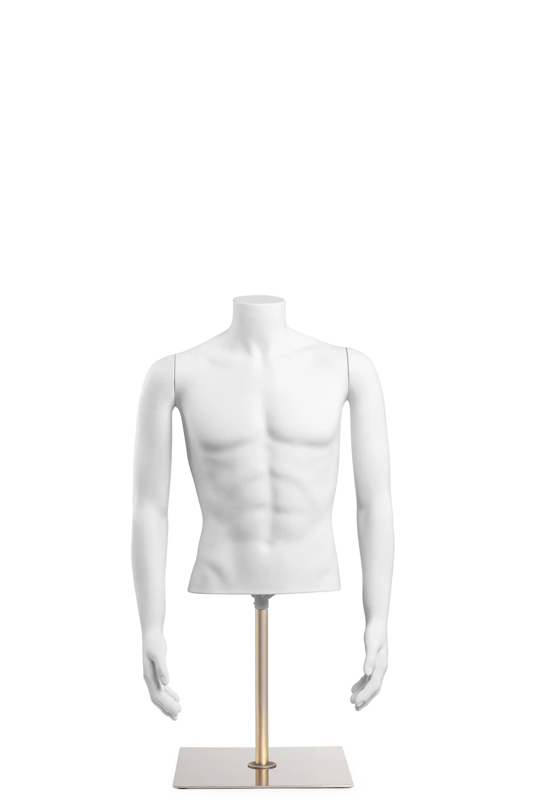 Male Headless Torso Mannequin with Removable Arms - Image 215