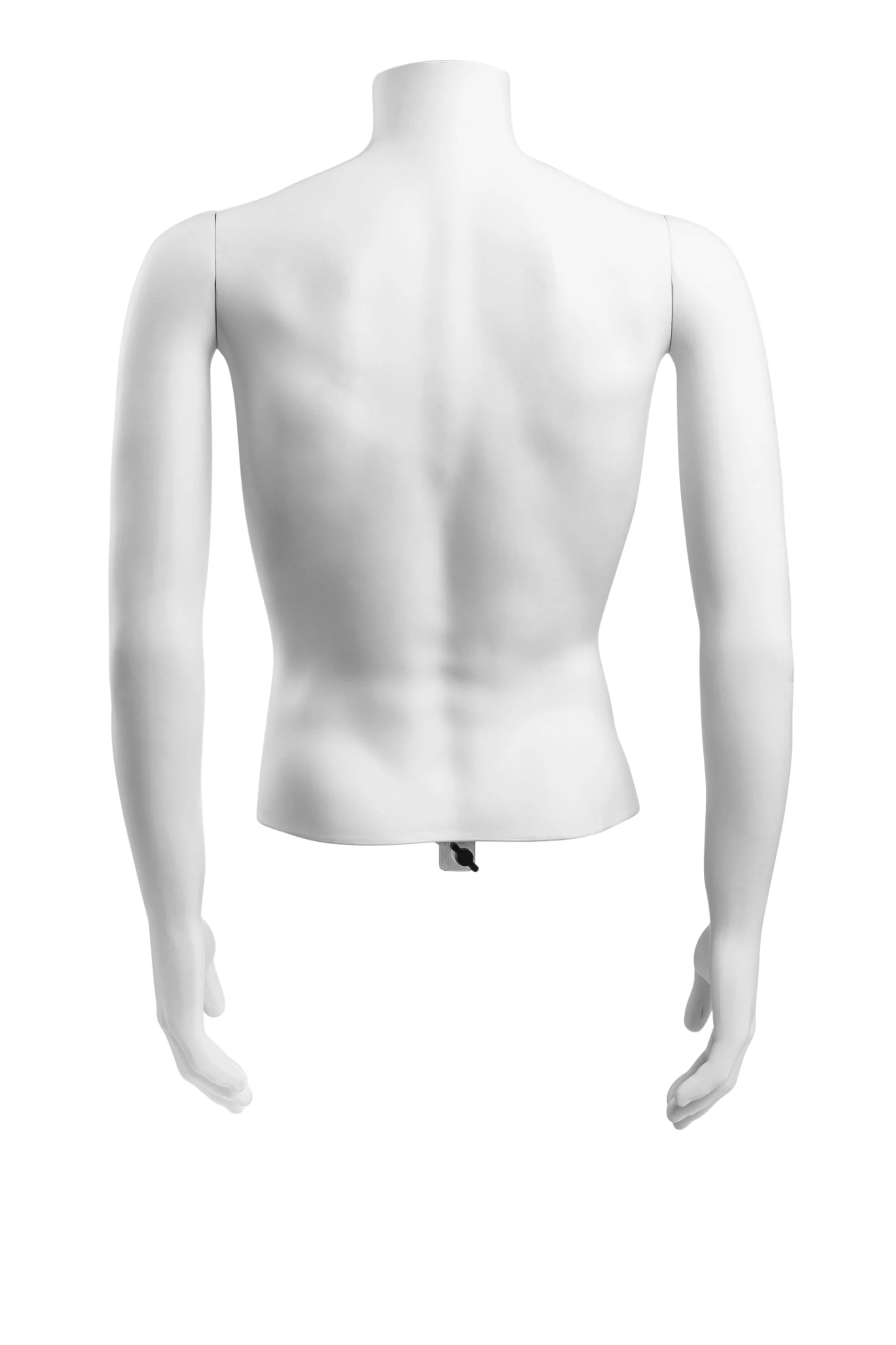 Male Headless Torso Mannequin with Removable Arms - Image 218