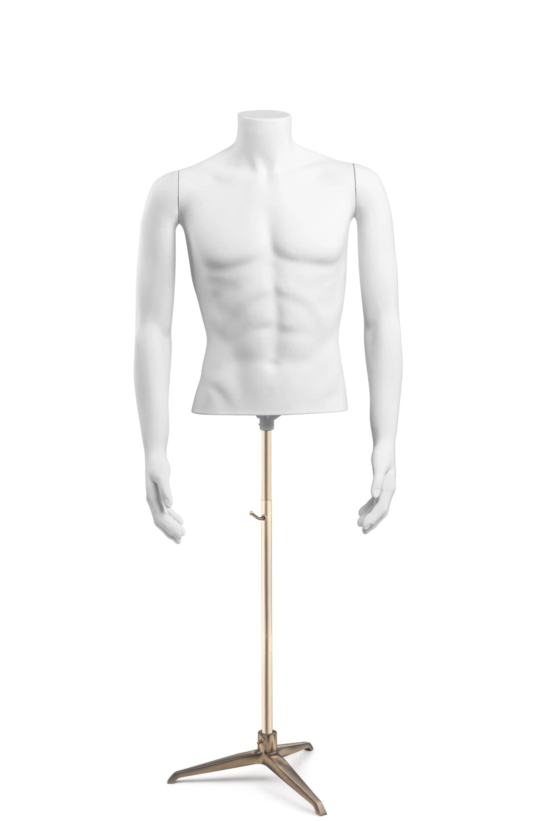 Male Headless Torso Mannequin with Removable Arms - Image 227