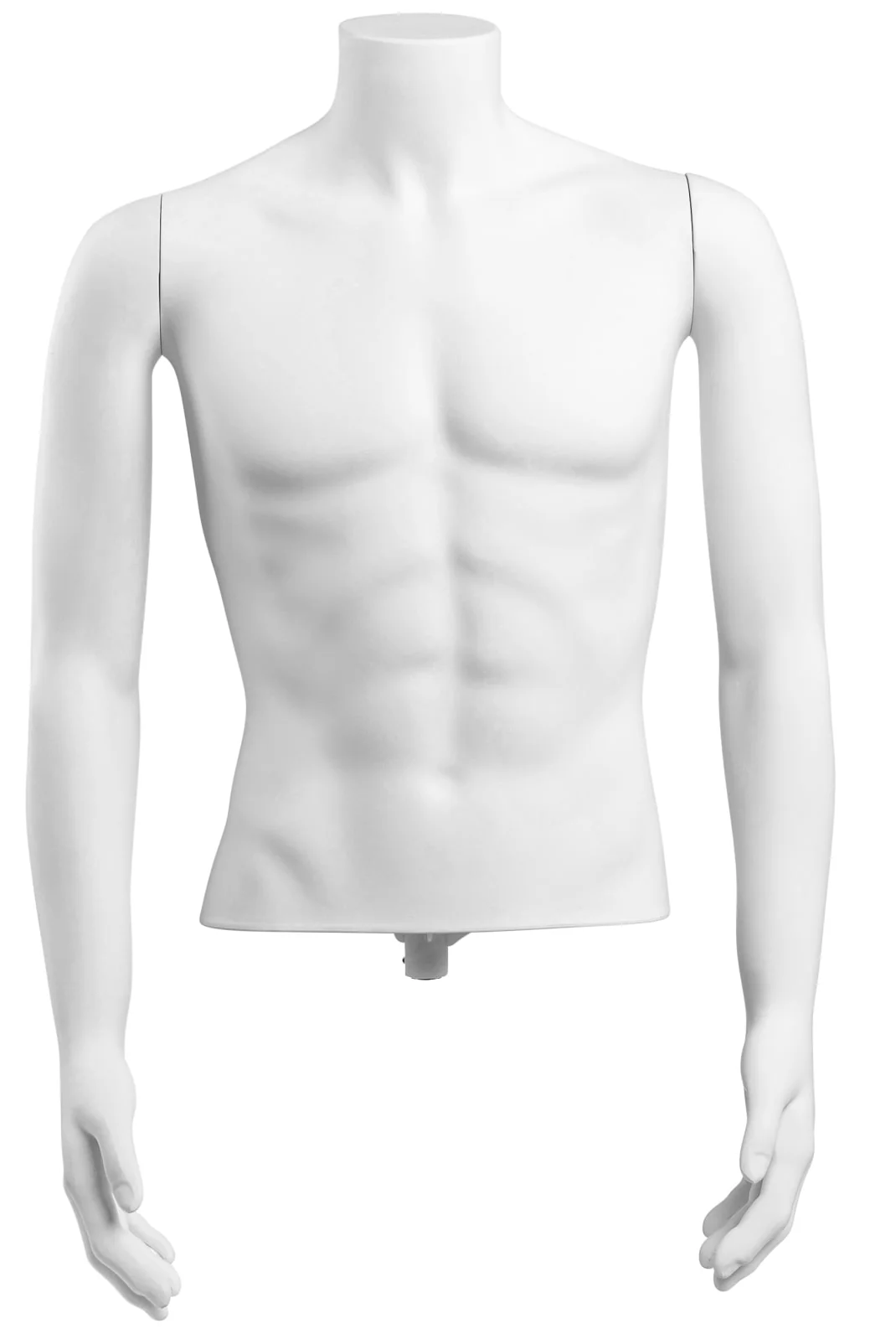 Male Headless Torso Mannequin with Removable Arms - Image 232