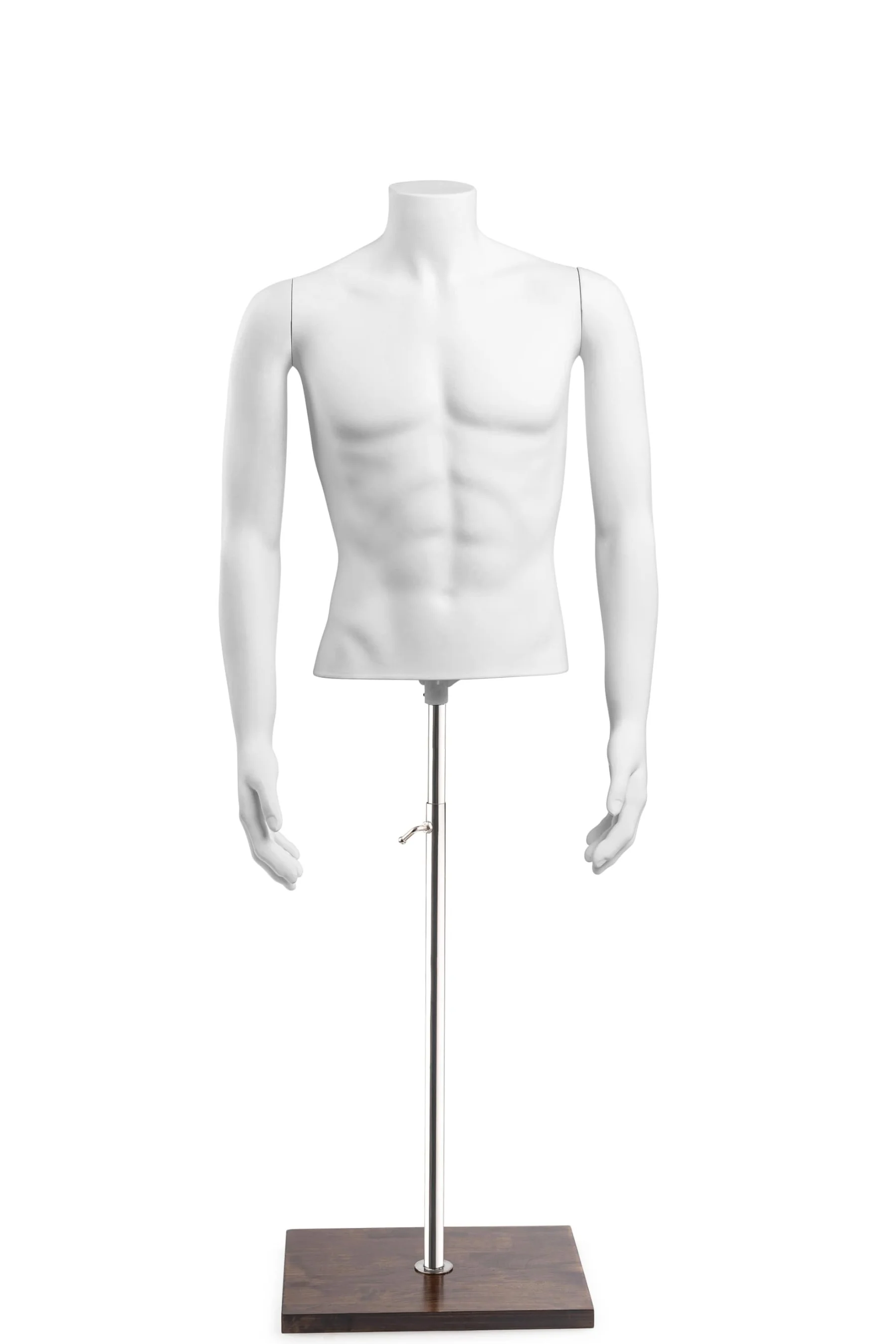 Male Headless Torso Mannequin with Removable Arms - Image 239